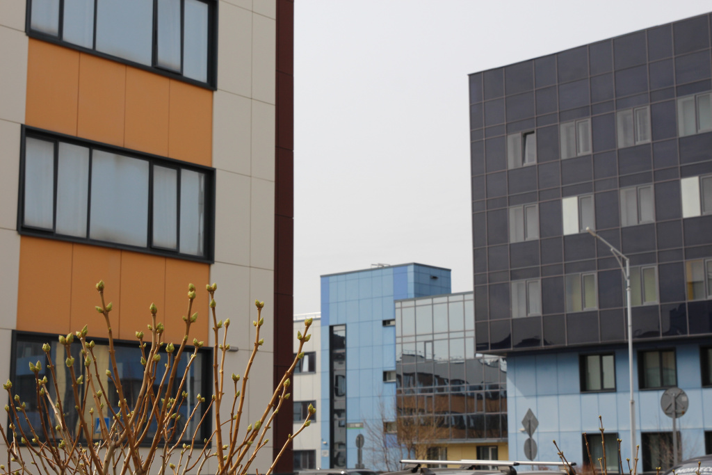 IMG_9260.JPG IMG_9260.JPG